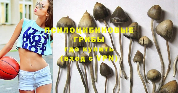 спиды Киреевск