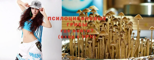 трава Киренск