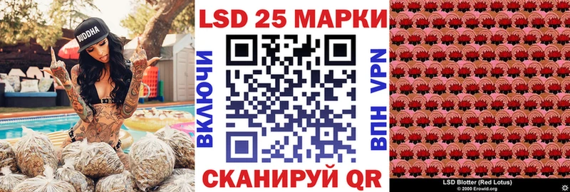 blacksprut   Кондрово  Марки N-bome 1,8мг 